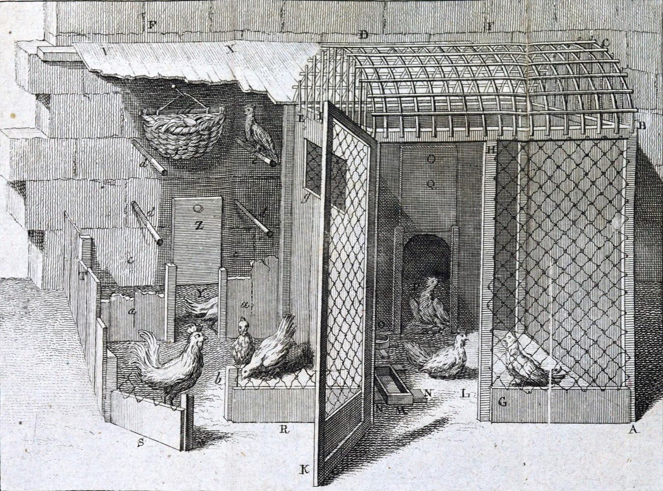 Große Abbildung Nr.1: 128-962 Krünitz,J.G.: (Land- und Forstwirtschaft, Tierhaltung, Geflügel)