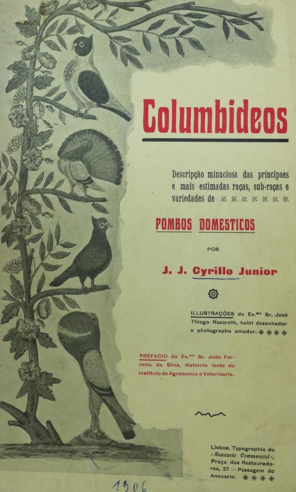 Große Abbildung Nr.1: 128-973 Sammlung: (Land- und Forstwirtschaft, Tierhaltung, Geflügel)