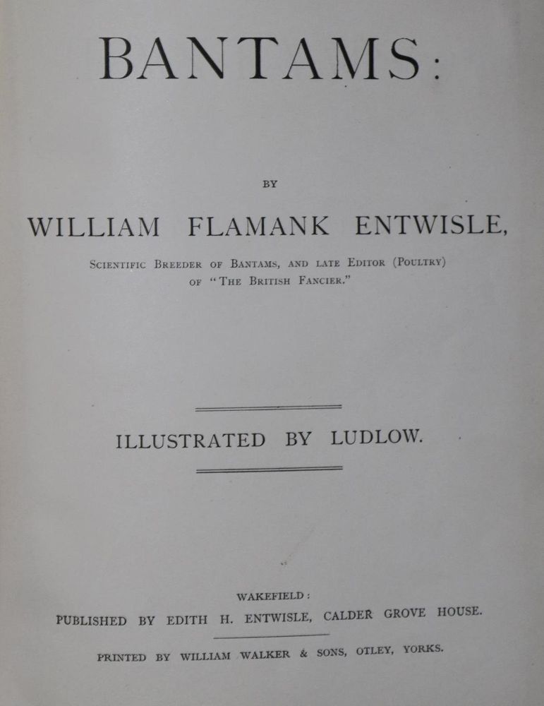 Große Abbildung Nr.1: 128-983 Sammlung: (Land- und Forstwirtschaft, Tierhaltung, Geflügel)