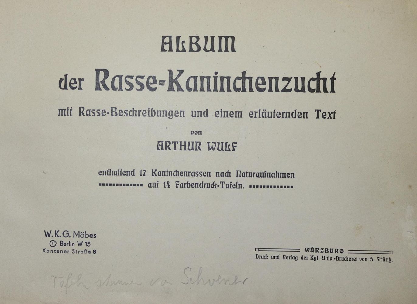 Große Abbildung Nr.1: 128-996 Kaninchenzucht.: (Land- und Forstwirtschaft, Tierhaltung)