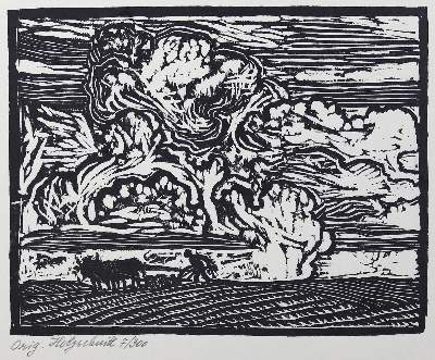 Bild Nr.2: 128-1090 Achleitner,H.: (Weidinger)