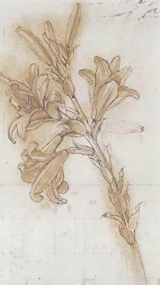 Bild Nr.2: 128-1130 Leonardo da Vinci.: (Faksimile)