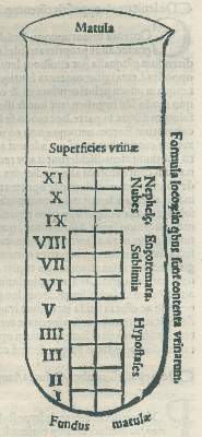 Bild Nr.2: 128-115 Actuarius,J.: (ZZRückgänge Sgl. Prof. Büttner Teil 1 und 2)