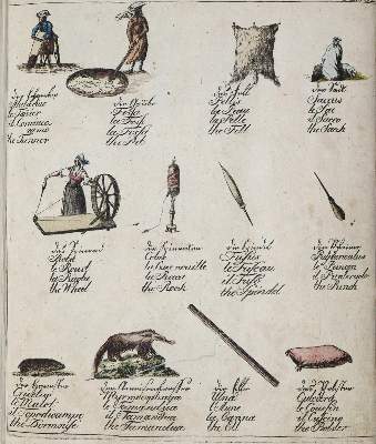 Bild Nr.1: 128-1273 Neuer Orbis Pictus: (Orbis Pictus)