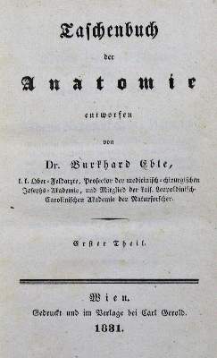 Bild Nr.1: 128-146 Eble,B.: (ZZRückgänge Sgl. Prof. Büttner Teil 1 und 2)