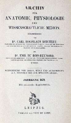 Bild Nr.33: 128-177 Kühne,W. (Hrsg.).: (ZZRückgänge Sgl. Prof. Büttner Teil 1 und 2)