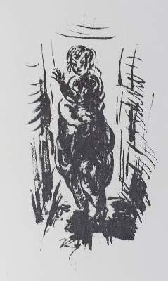 Bild Nr.1: 128-1791 Ziegler, Richard: (Literatur und illustrierte Bücher 20.Jahrhundert - Alte Literatur in modernen Ausgaben)