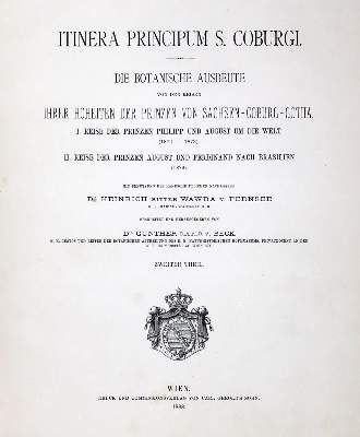 Bild Nr.1: 128-1800 Beck,G.v. (Hrsg.).: (Botanik)
