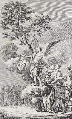 Bild Nr.2: 128-1804 Hill,J.: (Botanik)