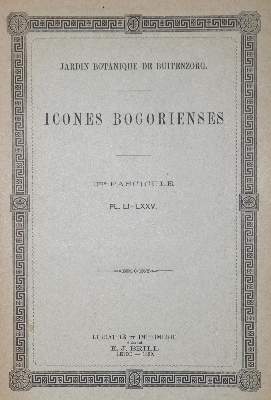 Bild Nr.1: 128-1806 Icones bogorienses.: (Botanik)