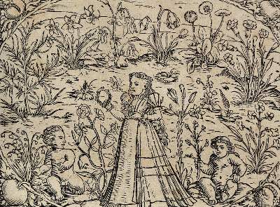 Bild Nr.3: 128-1809 Lonicer,A.: (Botanik, Kräuterbücher)