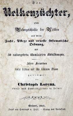 Bild Nr.1: 128-1814 Lorenz,C.: (Botanik, Nelken)