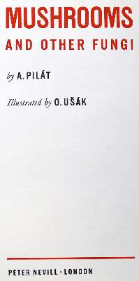 Bild Nr.51: 128-1816 Konvolut: (Botanik, Pilze)