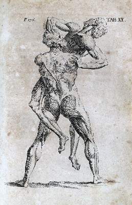Bild Nr.3: 128-1854 Hoffmann,F.: (Medizin)