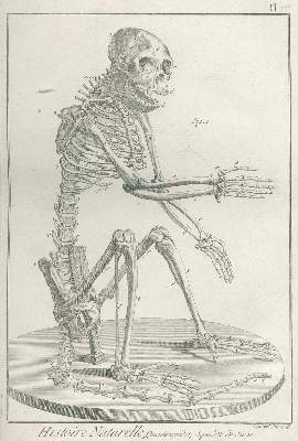 Bild Nr.1: 128-1899 Bonnaterre,J.P.: (Zoologie)