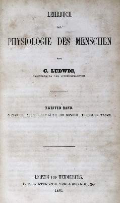 Bild Nr.2: 128-190 Ludwig,C.: (ZZRückgänge Sgl. Prof. Büttner Teil 1 und 2)