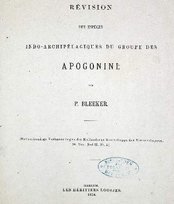 Bild Nr.1: 128-1903 Bleeker,P.: (Zoologie, Fische)