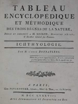 Bild Nr.1: 128-1905 Bonnaterre,P.J.: (Zoologie, Fische)