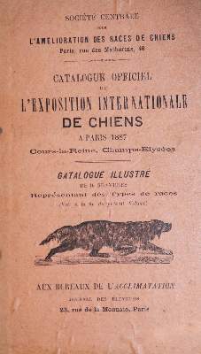 Bild Nr.1: 128-1912 Sammlung: (Zoologie, Hunde)