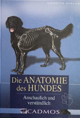 Bild Nr.1: 128-1913 Sammlung: (Zoologie, Hunde)