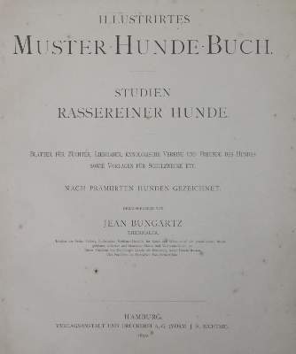 Bild Nr.1: 128-1914 Sammlung: (Zoologie, Hunde)