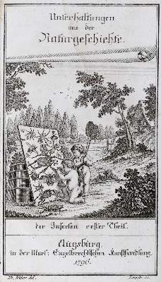 Bild Nr.3: 128-1926 (Wilhelm,G.T.): (Zoologie, Insekten)