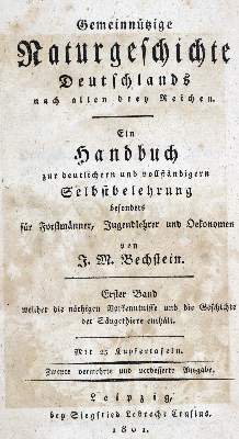 Bild Nr.1: 128-1934 Bechstein,J.M.: (Zoologie, Vögel)
