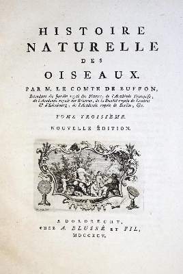 Bild Nr.1: 128-1936 Buffon,(G.L.L.)de.: (Zoologie, Vögel)