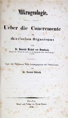 Bild Nr.21: 128-194 Mayer,R.: (ZZRückgänge Sgl. Prof. Büttner Teil 1 und 2)