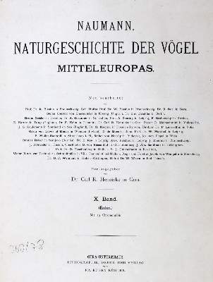 Bild Nr.2: 128-1942 Naumann,(J.A.).: (Zoologie, Vögel, Enten)