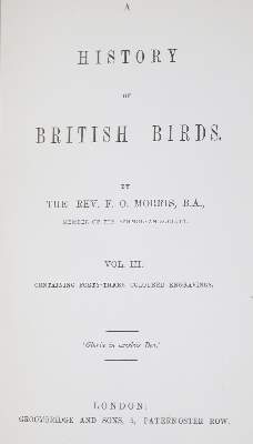 Bild Nr.1: 128-1945 Morris,F.O.: (Zoologie, Vögel)