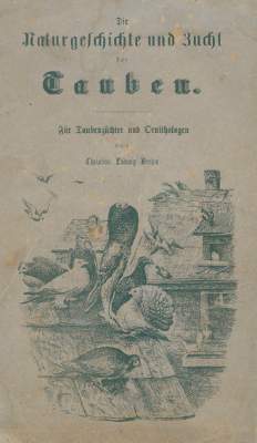 Bild Nr.1: 128-1961 Brehm,C.L.: (Zoologie, Vögel, Tauben)