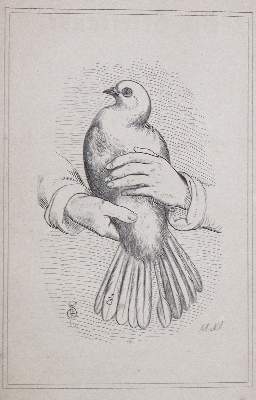 Bild Nr.1: 128-1964 Brieftauben.: (Zoologie, Vögel, Tauben)