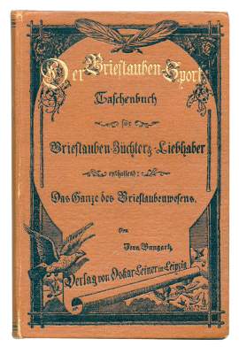 Bild Nr.1: 128-1965 Bungartz,J.: (Zoologie, Vögel, Tauben)