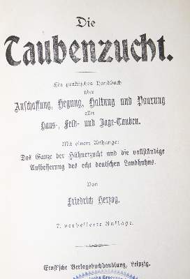 Bild Nr.1: 128-1988 Sammlung: (Zoologie, Vögel, Tauben)
