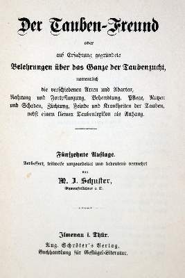 Bild Nr.1: 128-1990 Sammlung: (Zoologie, Vögel, Tauben)