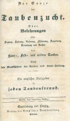 Bild Nr.2: 128-1998 Taubenzucht, Die ganze.: (Zoologie, Vögel, Tauben)