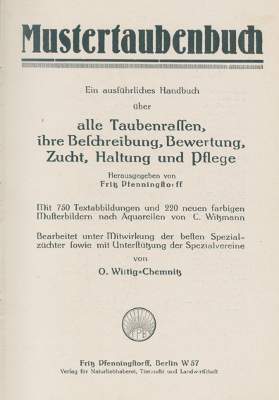 Bild Nr.1: 128-2006 Wittig,O.: (Zoologie, Vögel, Tauben)