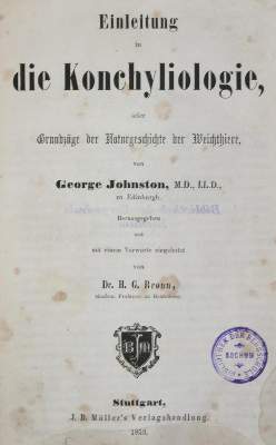 Bild Nr.1: 128-2008 Johnston,G.: (Zoologie, Weichtiere)