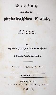Bild Nr.31: 128-202 Müller,F.: (ZZRückgänge Sgl. Prof. Büttner Teil 1 und 2)