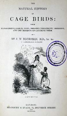 Bild Nr.1: 128-2030 Bechstein,J.M.: (Verschiedene Gebiete - Varia)