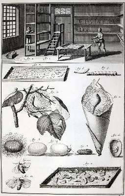 Bild Nr.2: 128-2043 Diderot,D. u. J.d'Alembert.: (Verschiedene Gebiete - Varia)