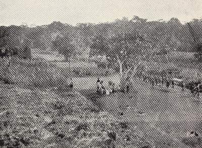 Bild Nr.1: 128-2124 Livingstone,D.: (Afrika)