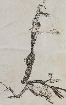 Bild Nr.11: 128-240 Viridet,J.: (ZZRückgänge Sgl. Prof. Büttner Teil 1 und 2)