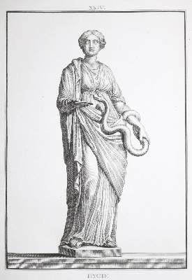 Bild Nr.3: 128-2401 David,F.A.: (Italien)
