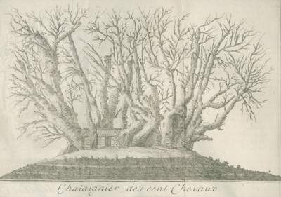 Bild Nr.1: 128-2413 Borch,(M.J.)de.: (Italien, Sizilien)