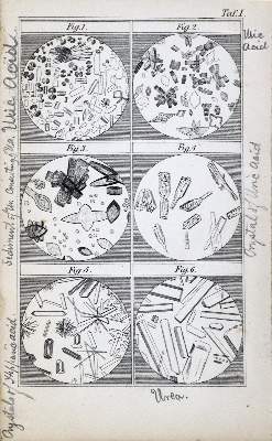 Bild Nr.4: 128-242 Whewell,W.: (ZZRückgänge Sgl. Prof. Büttner Teil 1 und 2)