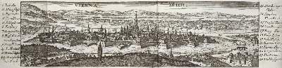Bild Nr.2: 128-2521 Birken,S.v.: (Verschiedene Länder - Geschichte, Donau)