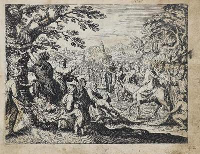 Bild Nr.1: 128-315 Merian, Matthäus: (Bibeln)
