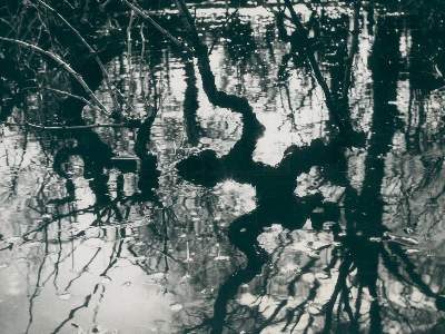 Bild Nr.1: 128-3207 Clergue, Lucien: (Photographie)